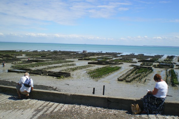 Cancale, le port