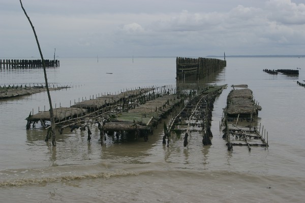 Visite de Cancale avec un guide