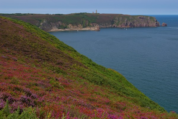 visite guidée Cap Fréhel - Bretagne