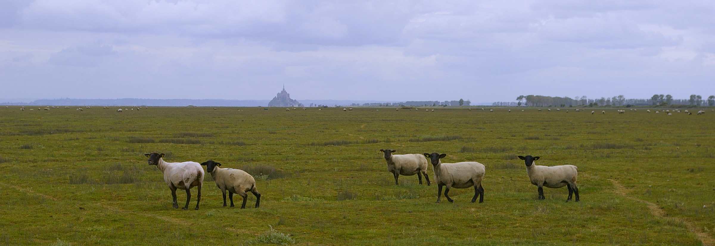 Guide Mont St Michel - Normandie